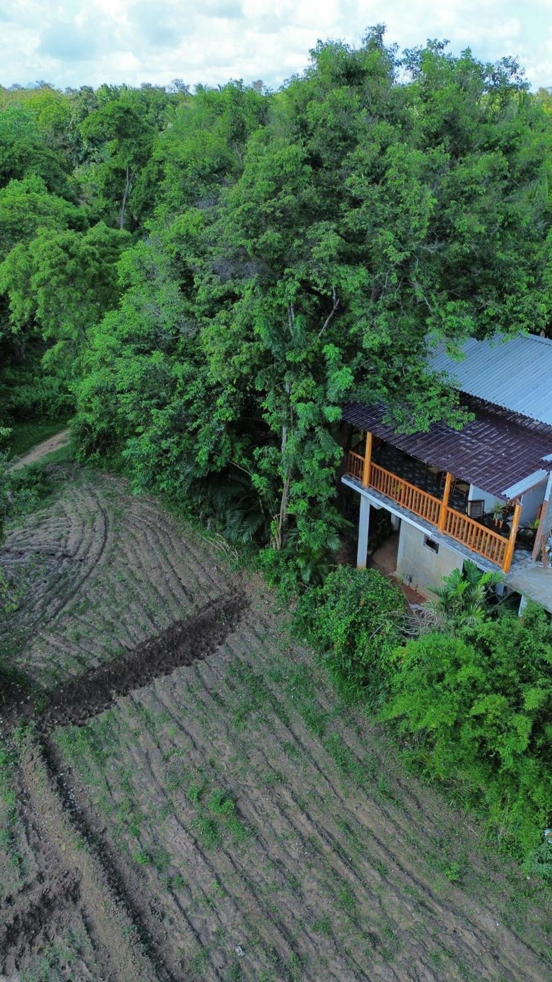 Sigiri Dilu Villa Sigiriya Luaran gambar