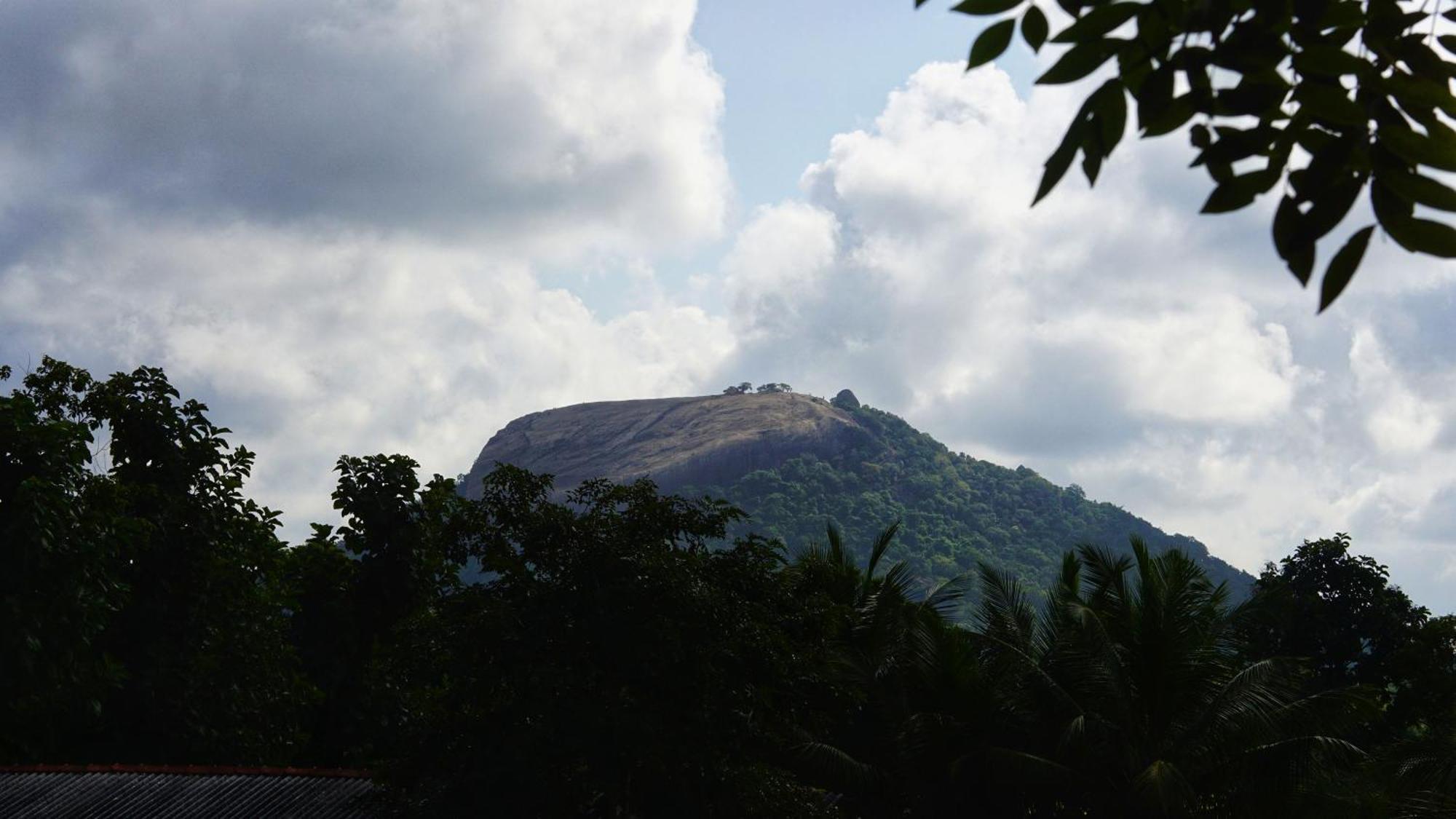 Sigiri Dilu Villa Sigiriya Luaran gambar