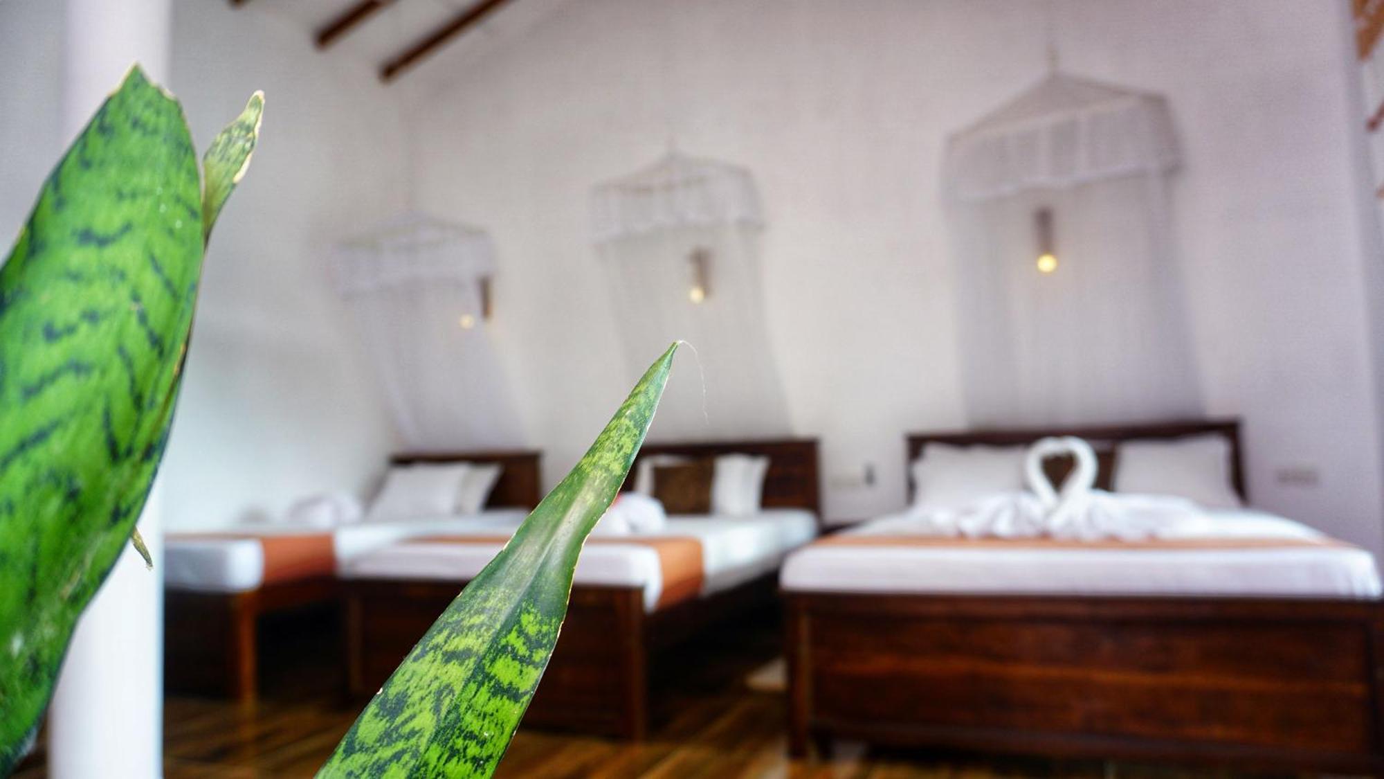 Sigiri Dilu Villa Sigiriya Luaran gambar
